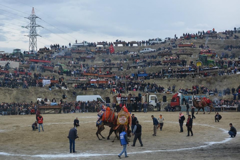 33. SARAYKÖY DEVE GÜREŞİ FESTİVALİ’NİN TARİHİ BELLİ OLDU