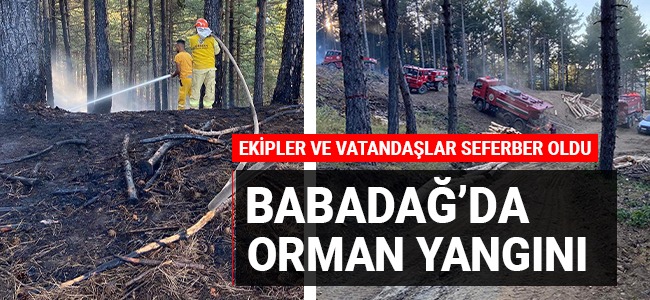 Babadağ'da orman yangını başladı! Ekipler ve vatandaşlar seferber oldu!