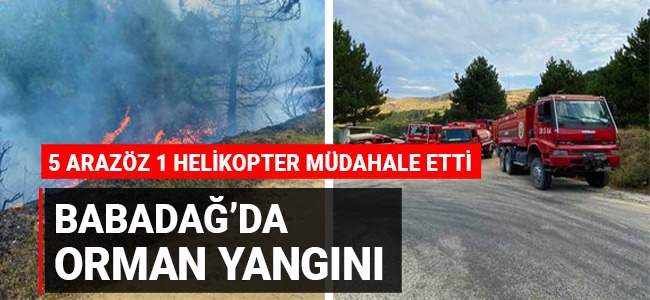 Babadağ’da orman yangını!