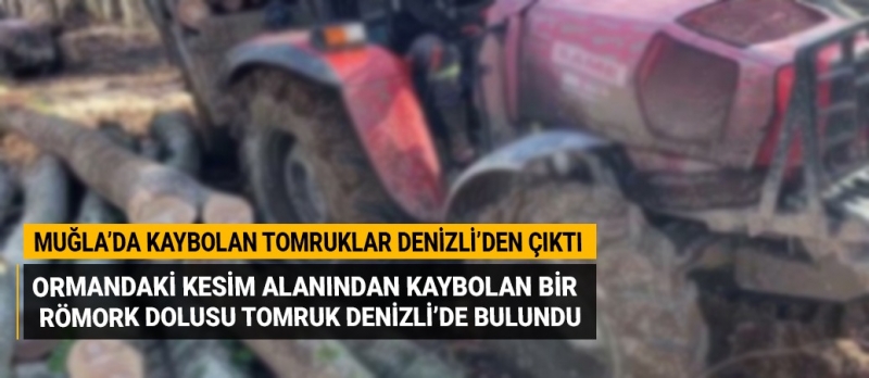 Bodrum'daki hırsızlık olayı Denizli'de çözüldü