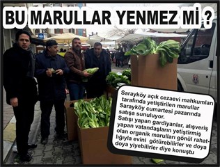 BU MARULLAR YENMEZ Mİ?