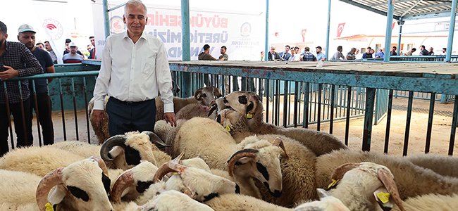 Büyükşehir kırsal kalkınma hamlesini sürdürüyor