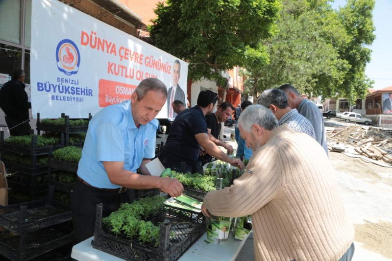 Büyükşehir'den 40 bin fesleğen