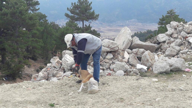  Çameli Şehir Çöplüğünde köpek kurtarama operasyonu