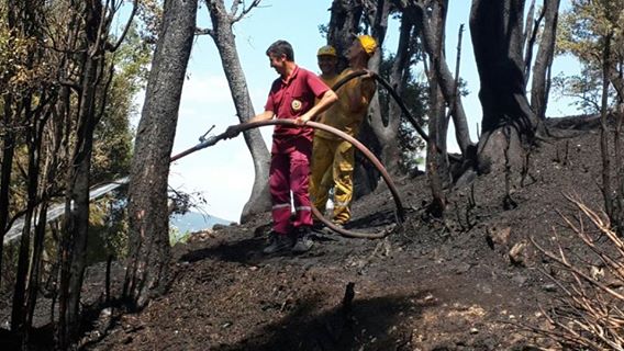 Çameli'de Yangına Müdahale Eden Kişi Kendini de Yaktı