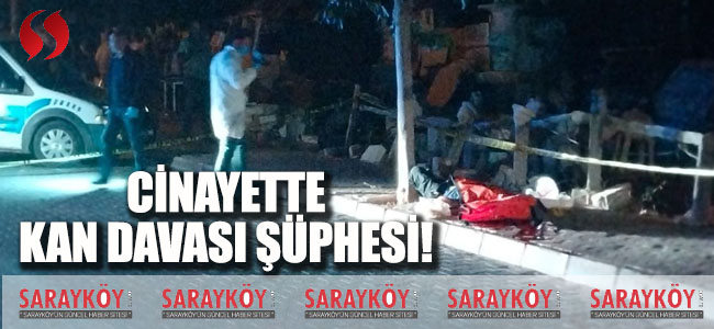 Cinayette Kan Davası Şüphesi!