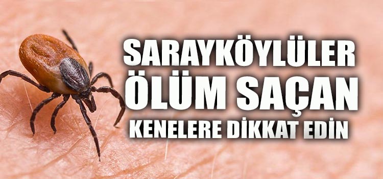 DENİZLİ İL TARIM VE ORMAN MÜDÜRLÜĞÜ KENELERE KARŞI UYARIYOR!