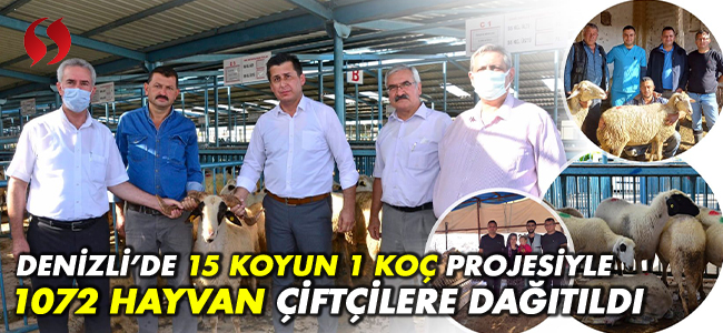 Denizli'de 15 Koyun 1 Koç Projesiyle 1072 Hayvan Çiftçilere Dağıtıldı!