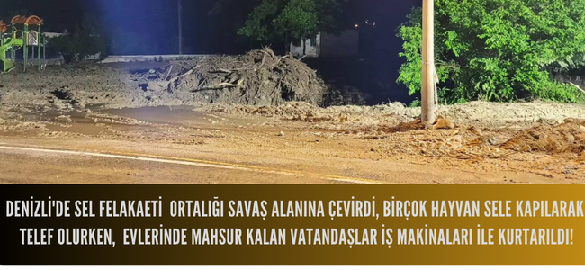 Denizli'de şiddetli yağışlar sele döndü, hayvanlar telef oldu!