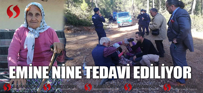 Emine nine tedavi ediliyor