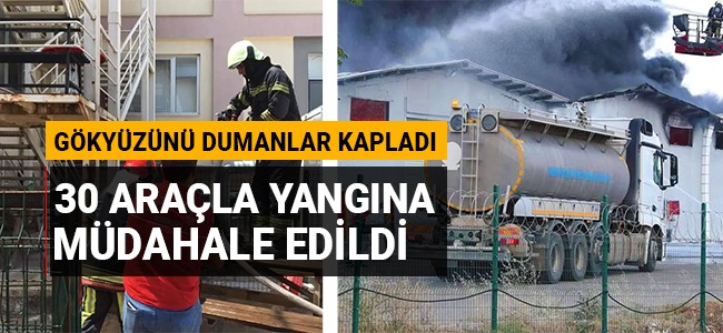 Gökyüzünü dumanlar kapladı! Yangına 30 araçla müdahale edildi!