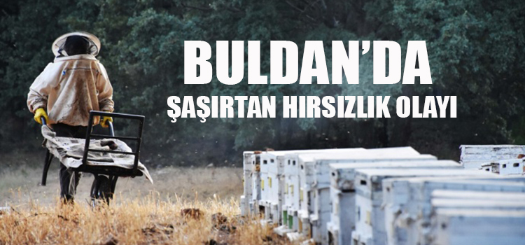 HIRSIZLAR ÜRETİCİNİN BİNLERCE ÇALIŞANINI ÇALDI