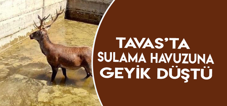 İMDADINA İTFAİYE ERLERİ  YETİŞTİ 