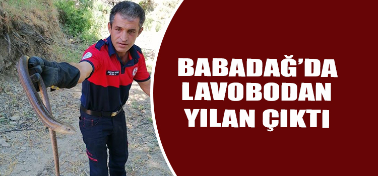 LAVABOYA SIKIŞAN YILANIN İMDADINA KOŞTULAR 