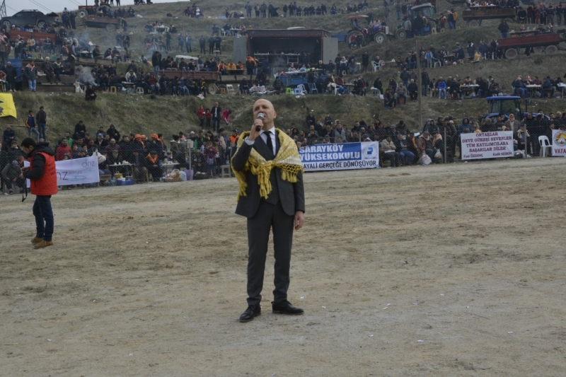 Pehlivan develer pazar günü Sarayköy arenasında buluşuyor