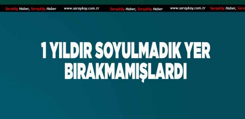 SARAYKÖY'DE DAHİL BİR ÇOK YERDE HIRSIZLIK YAPMIŞLARDI 