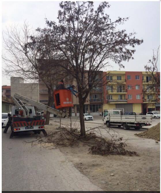 Sarayköy’de park ve bahçelerde temizleniyor