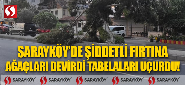 Sarayköy'de şiddetli fırtına ağaçları devirdi, tabelaları uçurdu!