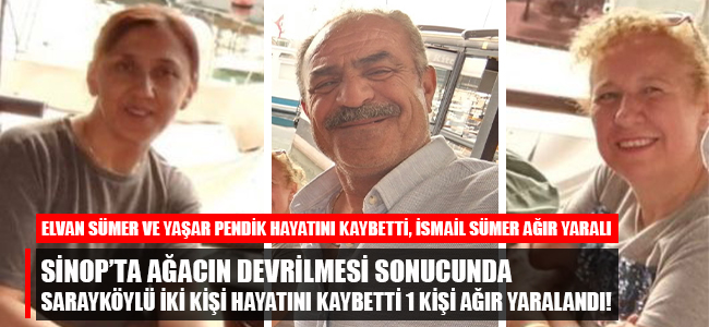 Sinop'ta ağacın devrilmesi sonucunda Sarayköylü iki kişi hayatını kaybetti 1 kişi ağır yaralandı!