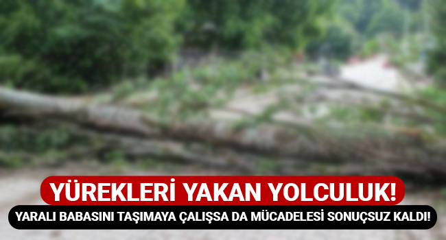 Yürekleri yakan yolculuk! Ağır yaralı olan babasını taşımaya çalışsada mücadelesi sonuçsuz kaldı!