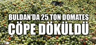 25 TON DOMATESİ DÖKÜP GİTMİŞLER 