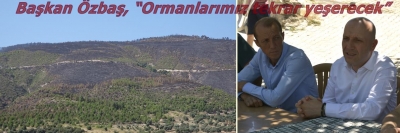 Başkan Özbaş, “Ormanlarımız tekrar yeşerecek”