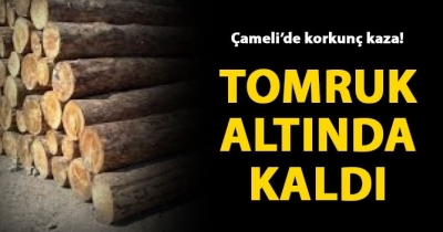 Çameli'de Feci Ölüm Tomruk Altında Kaldı