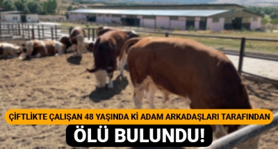 Çiftlikte çalışan 48 yaşında ki adam arkadaşları tarafından ölü bulundu!