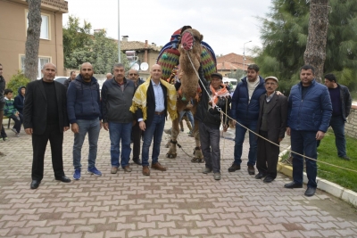 Develer havutlarını giydi