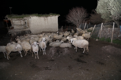 KUMLUCA MAHALLESİ’NDE ŞOK EDEN OLAY