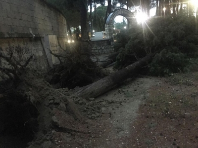 SARAYKÖY'DE ON DAKİKALIK YAĞMUR AĞAÇLARI YERİNDEN SÖKTÜ 