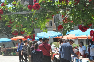 SARAYKÖY’E BAHAR GELDİ