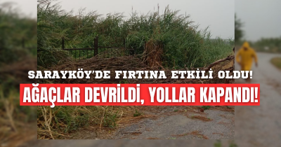 Sarayköy'ü fırtına vurdu! Ağaçlar yerinden söküldü, hayat felç oldu!