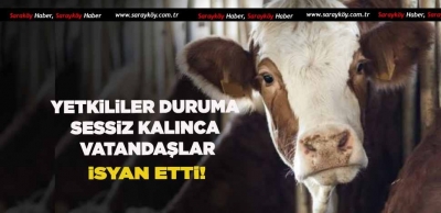 YETKİLİLER SUSUYOR OLAN BAHÇE SAHİPLERİNE OLUYOR